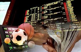 Everything You Need to Know About Safi Bet 12